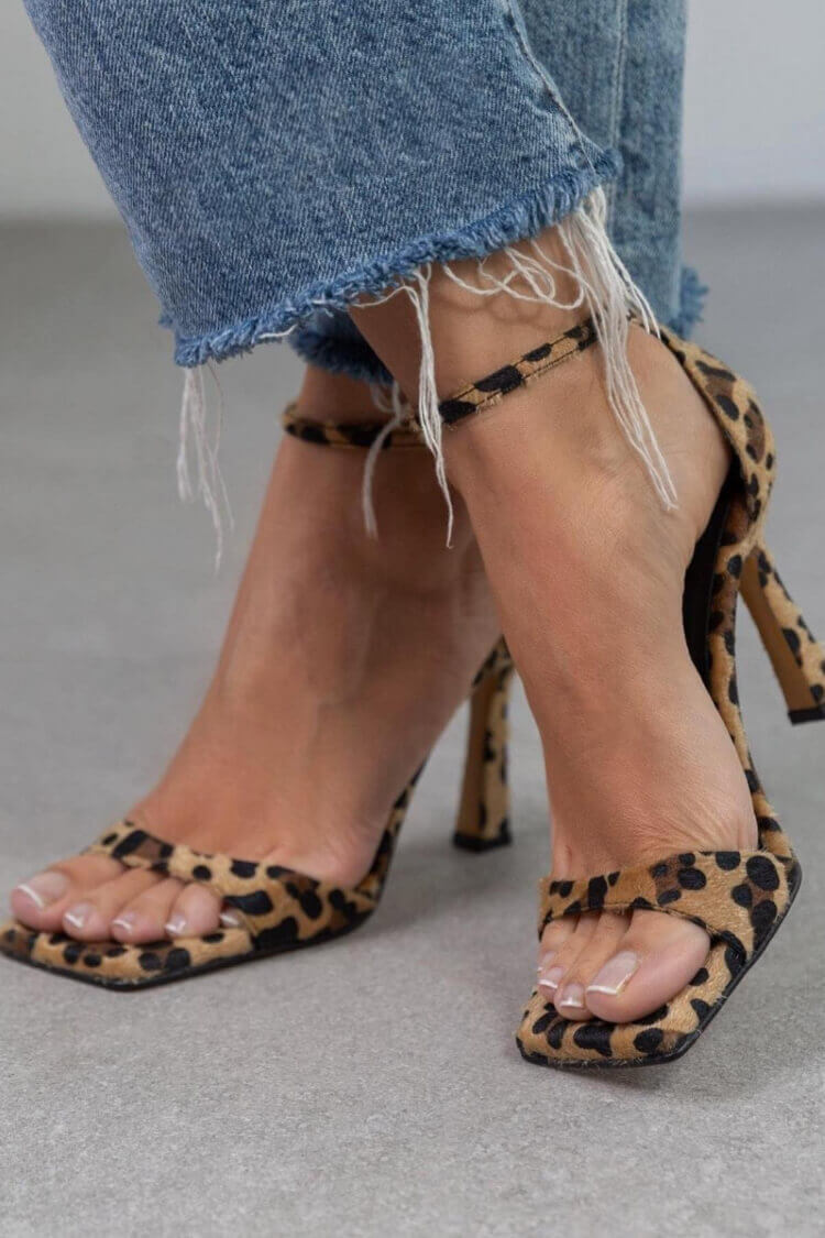 Leopard / 8.5