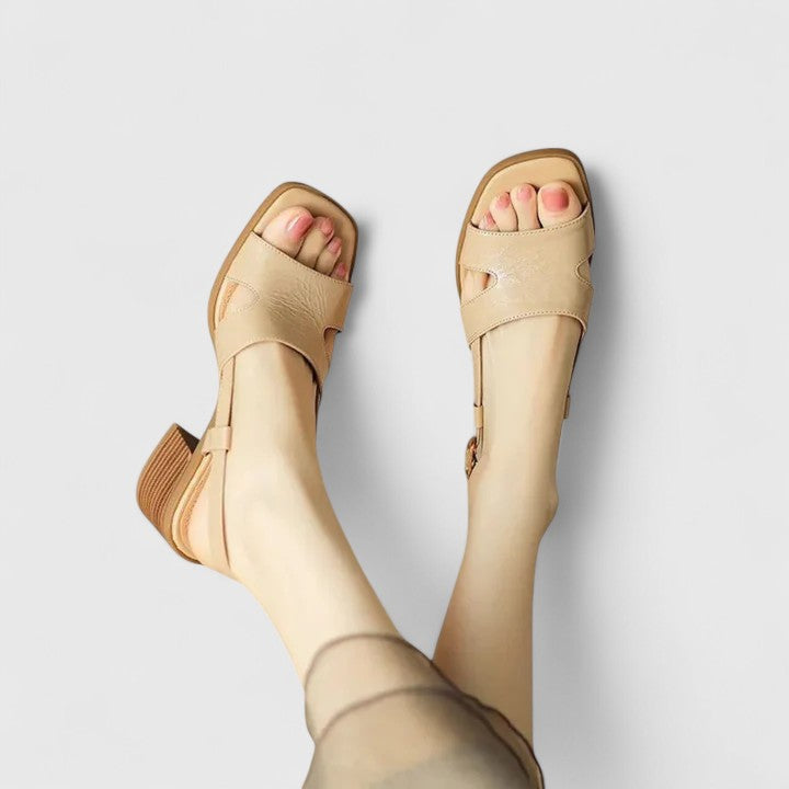 Apricot / 9 NZ | 40 EU