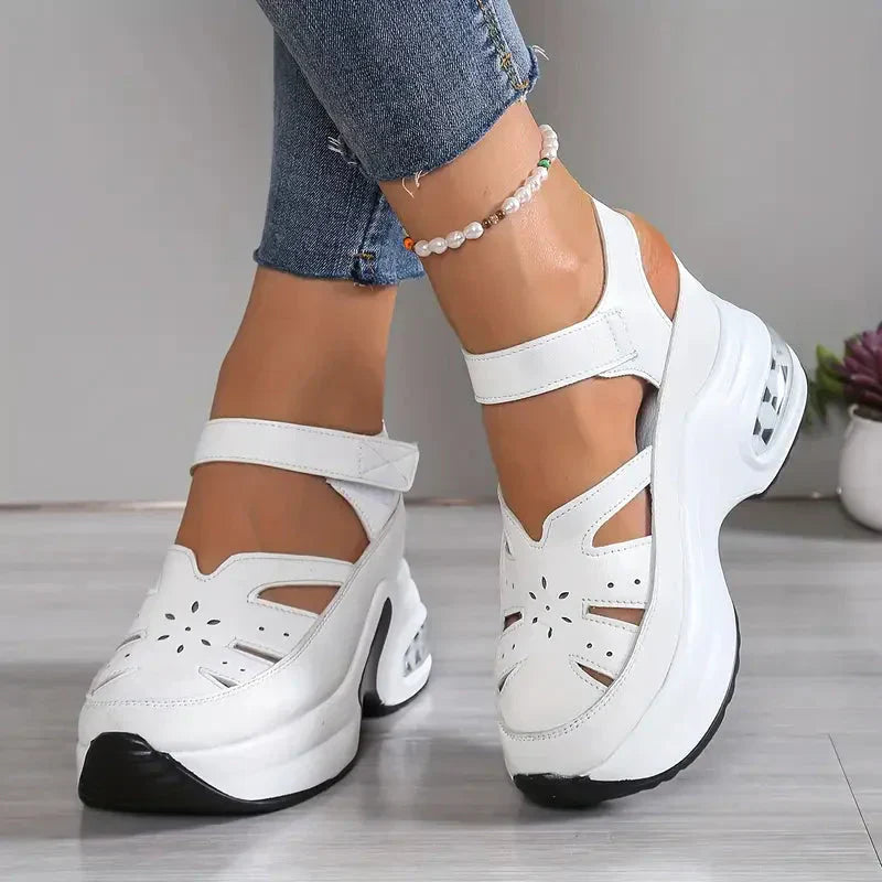 White / 9.5