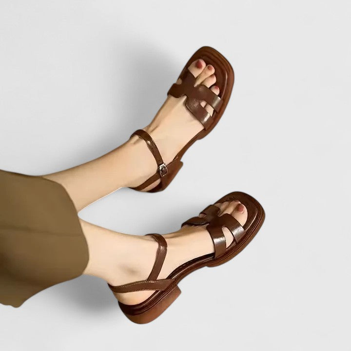 Brown / 9 NZ | 40 EU