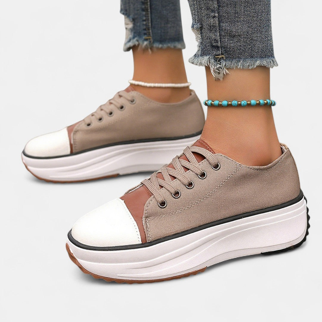 Brown / 12 AU | 43 EU