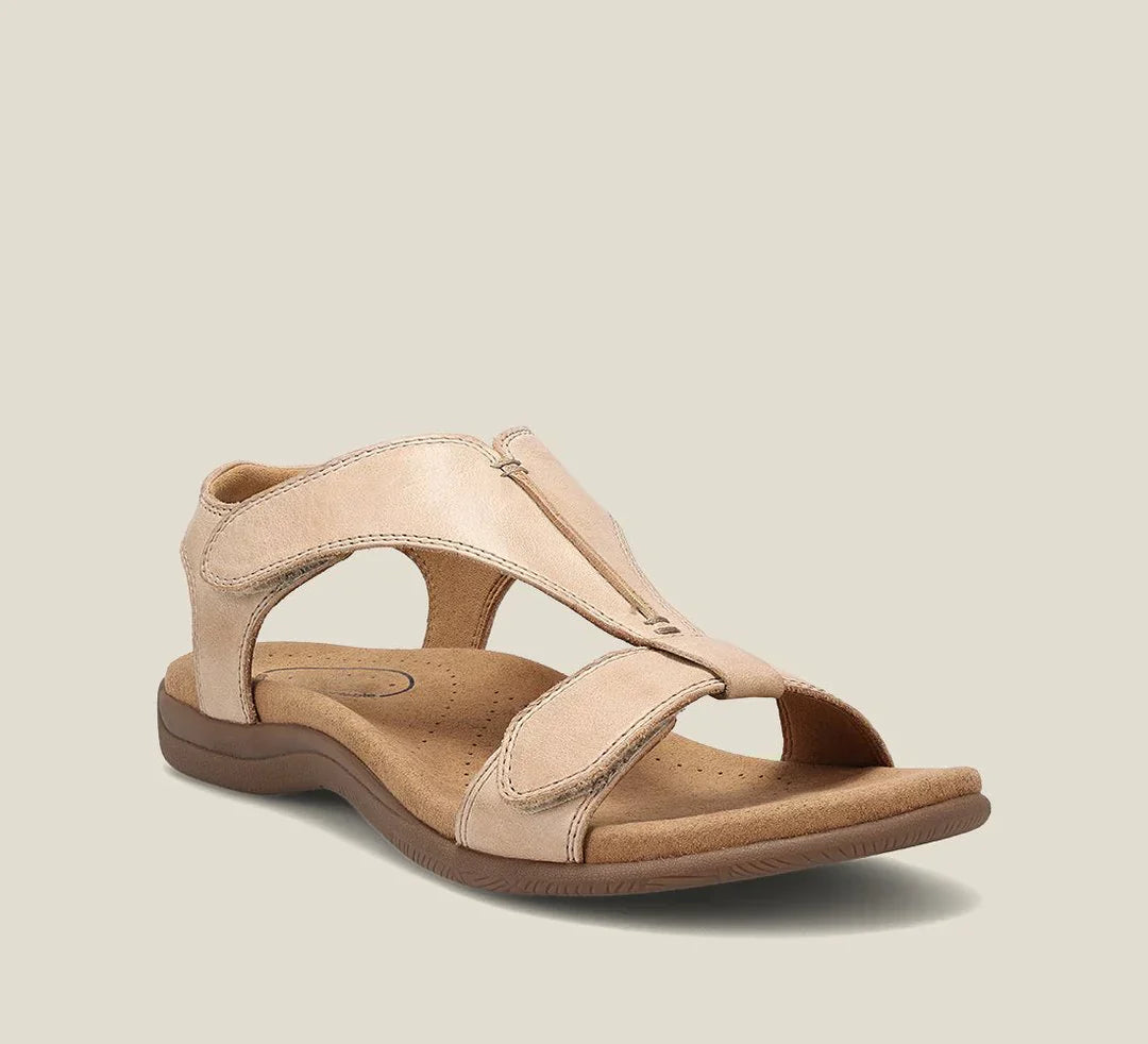 Beige / 12 NZ (EU43)